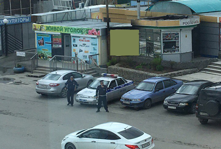 В Верхней Пышме за 5 дней рейда Тонировка привлечено к ответственности 137 человек 